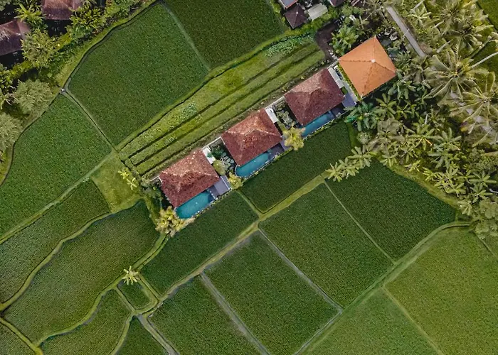Airsania Antique Villa