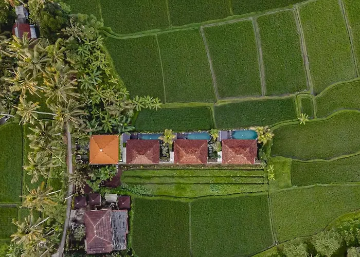 Villa Airsania Antique Ubud