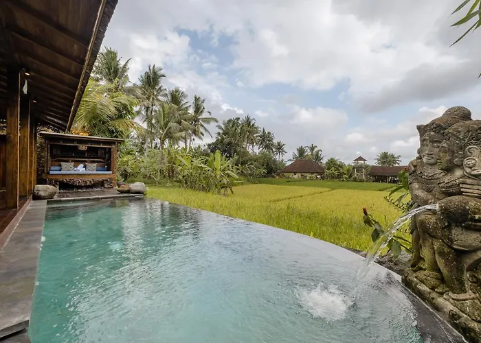 Villa Airsania Antique *
